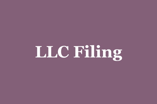 LLC Filing - All States (Except PA, NJ, DE)
