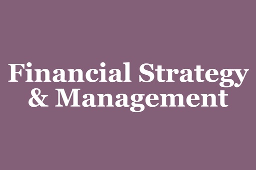 Financial Strategy And Management Consultation