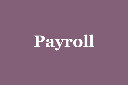 Payroll Services Consultation